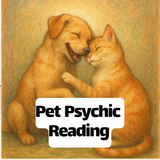 Pet Psychic Reading – Same Day Tarot & Intuitive Messages From Your Living Pet